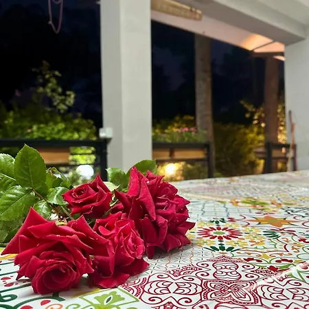 Tatil Evi 92 Golem (Tirana)