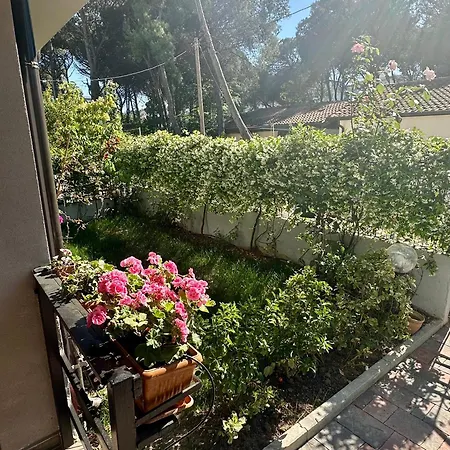 Tatil Evi 92